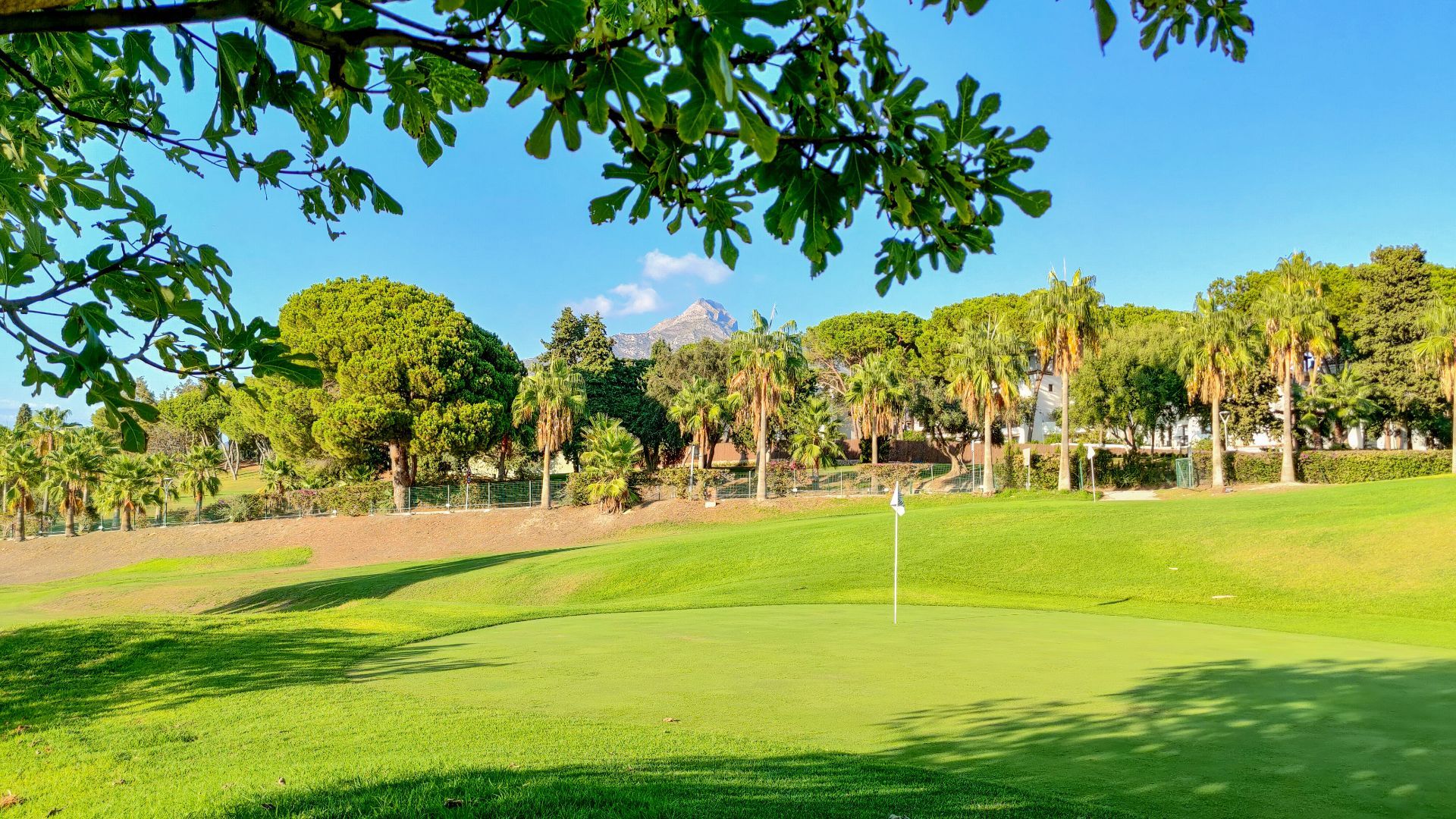 Nueva Andalucía, Marbella